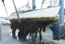 BoatCleaningBefore