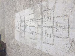IMG_7923