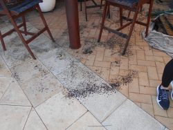 fire damage