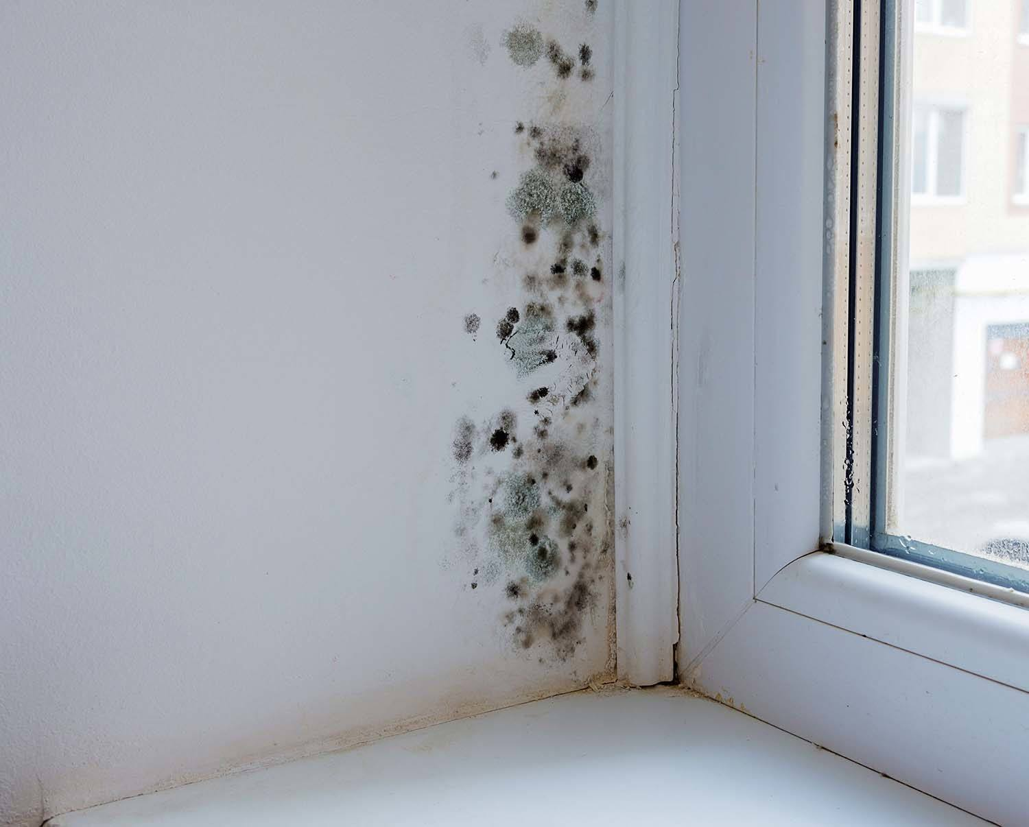 graffiti removal perth